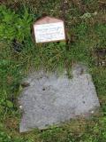 image of grave number 592964